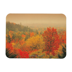 Fall landscape, New Hampshire, USA Magnet