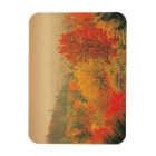 Fall landscape, New Hampshire, USA