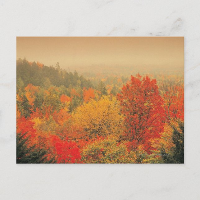 Fall landscape, New Hampshire, USA Postcard (Front)