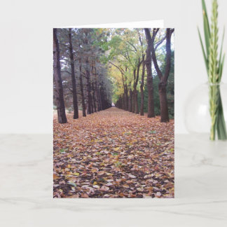 Fall lane card
