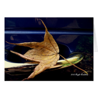 Fall leaf