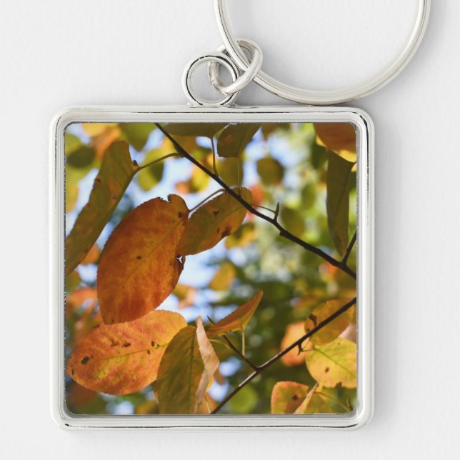 Fall Leaf Autumn Leaves Sky Nature Photography Key Ring (Front)