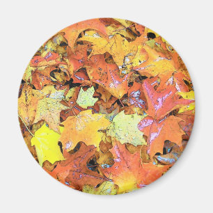 Fall Leaf Magnet