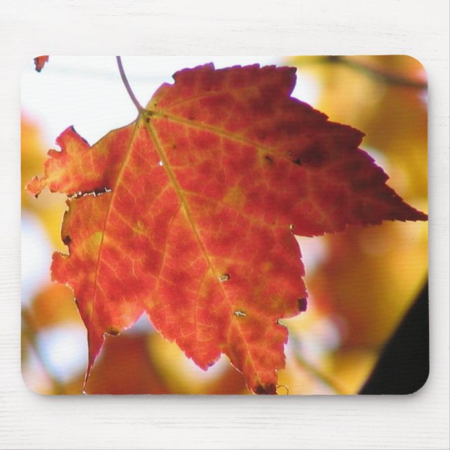 Fall Leaf Mouse Mat (Front)