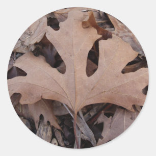 Fall Leaf Sticker