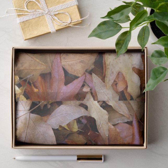 Fall Leaf Tissue Paper (Gift)