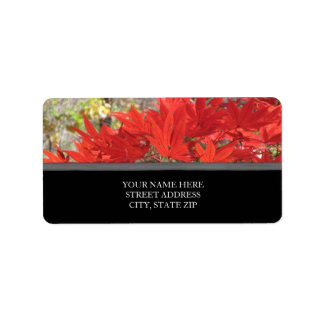 Fall Leaves Address Labels