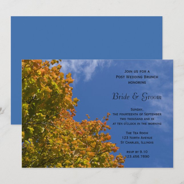 Fall Leaves and Blue Sky Post Wedding Brunch Invitation (Front/Back)