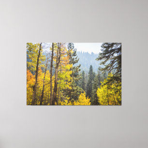 Fall Leaves at Lake Tahoe Stretched Canvas Print