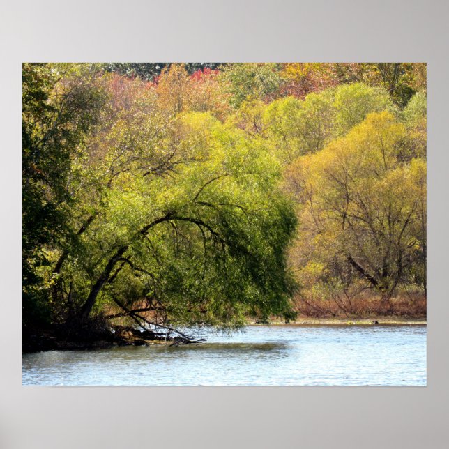Fall Leaves - Autumn Beauty Poster (Front)