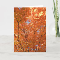 Fall Leaves Autumn Blessings Blank