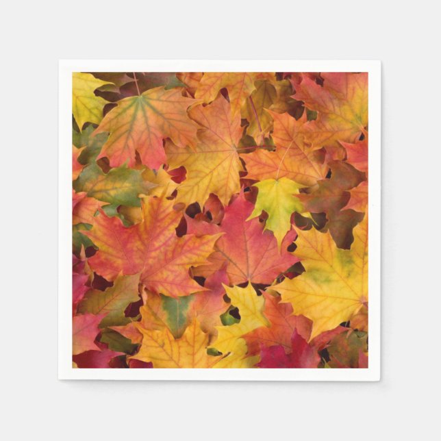 Fall Leaves Autumn Colour Wedding Cocktail Napkin (Front)