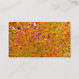 Fall Leaves Business Cards, Autumn Leaves, Nature Business Card