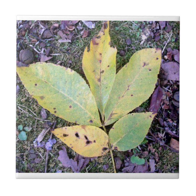Fall Leaves Ceramic Tile (Front)