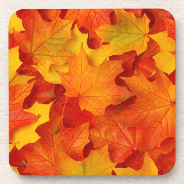 Fall Leaves Coaster (Front)