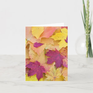 Fall Leaves Design Card