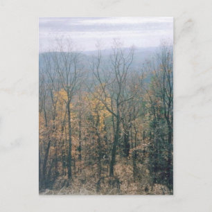 Fall Leaves- Georgia Postcard