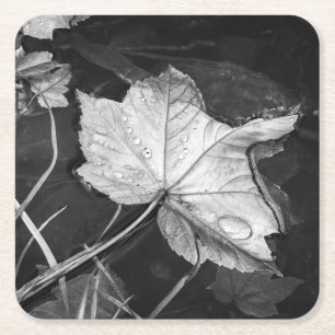 Fall Leaves in a Pond Black and White Square Paper Coaster