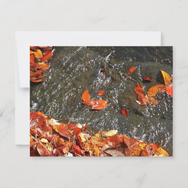 Fall Leaves in Waterfall I Autumn Photography Card (Front)