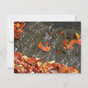 Fall Leaves in Waterfall I Autumn Photography Card