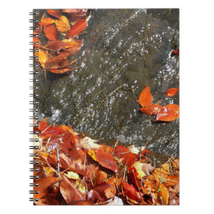 Fall Leaves in Waterfall I Autumn Photography Notebook