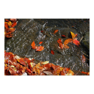 Fall Leaves in Waterfall I Autumn Photography Poster