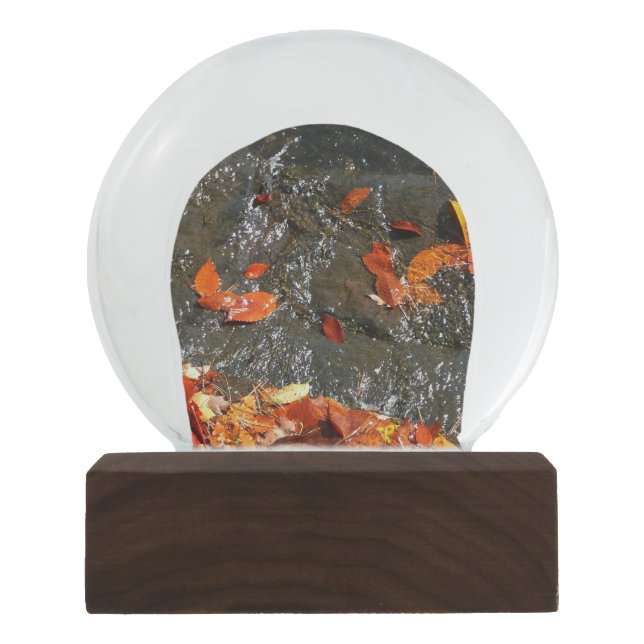 Fall Leaves in Waterfall I Autumn Photography Snow Globe (Front)
