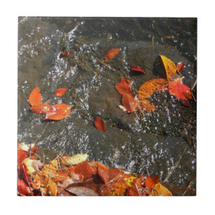 Fall Leaves in Waterfall I Autumn Photography Tile