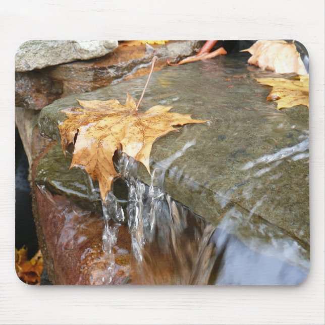 Fall Leaves in Waterfall II Autumn Photography Mouse Mat (Front)