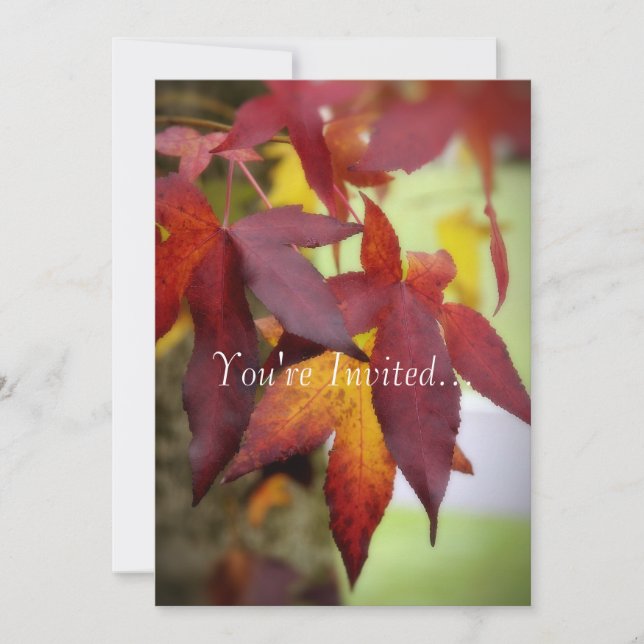 Fall Leaves...Invitation Invitation (Front)