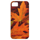 Fall leaves iphone5 case