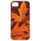 Fall leaves iphone5 case