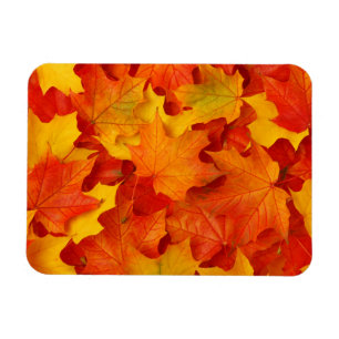 Fall Leaves Magnet
