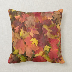Fall Leaves Mixed Colours Pillow