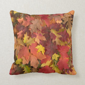Fall Leaves Mixed Colours Pillow