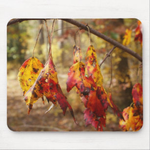 Fall Leaves Mouse Mat
