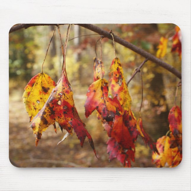 Fall Leaves Mouse Mat (Front)
