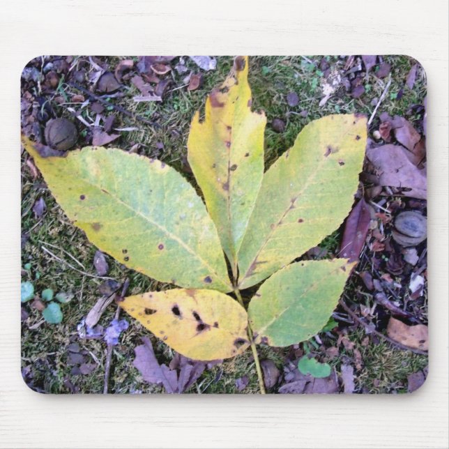 Fall Leaves Mousepad (Front)