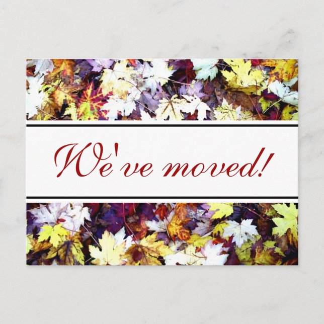 Fall leaves moving postcards | Autumn scene (Front)