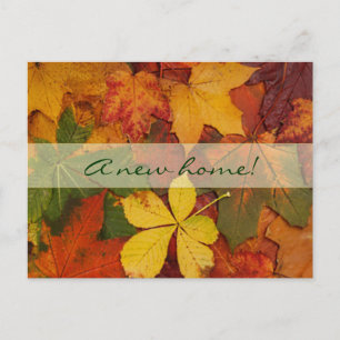 Fall Leaves-New Home Announcement Postcard