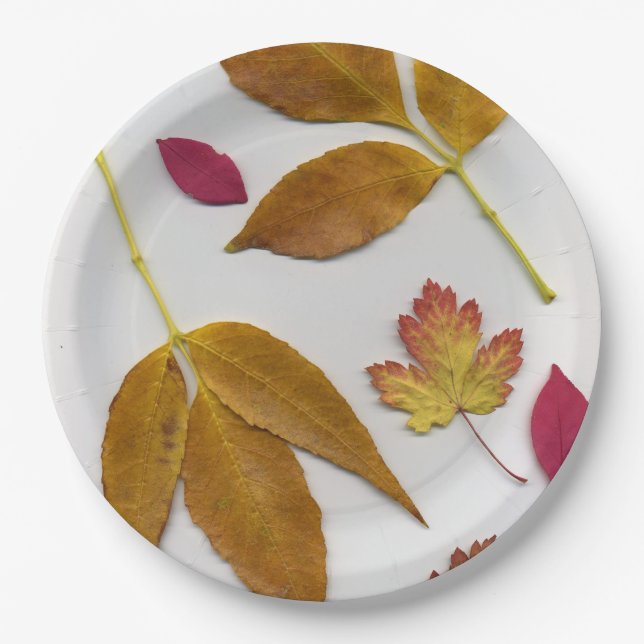 Fall Leaves Paper Plate (Front)
