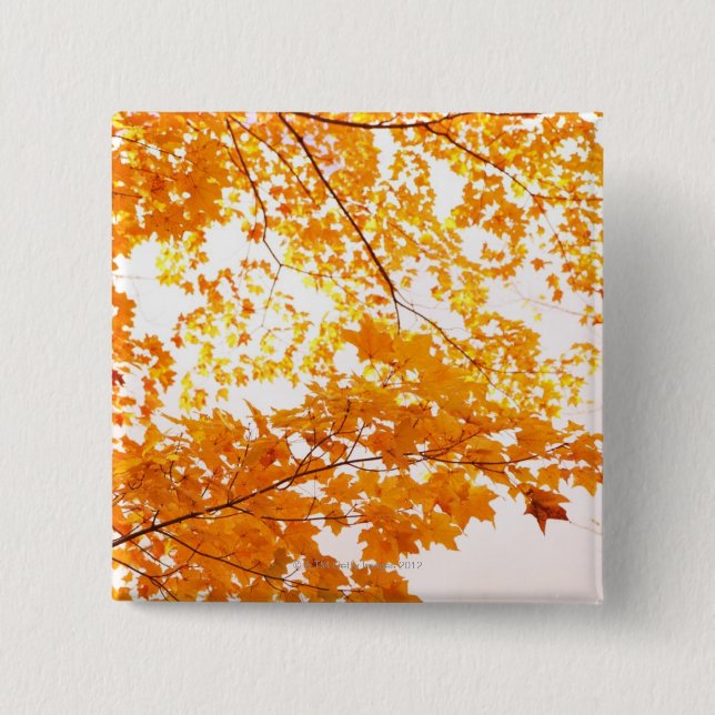 Fall Leaves Reflection 15 Cm Square Badge (Front)