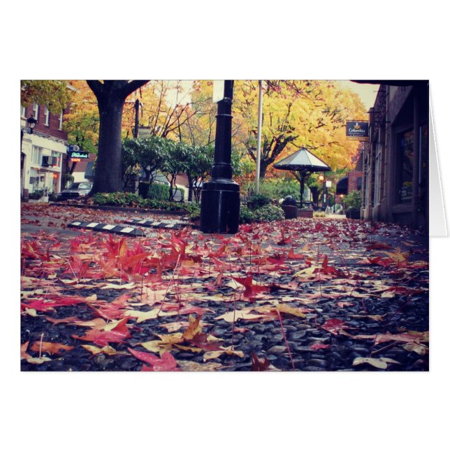 Fall Leaves Sidewalk View (Front Horizontal)