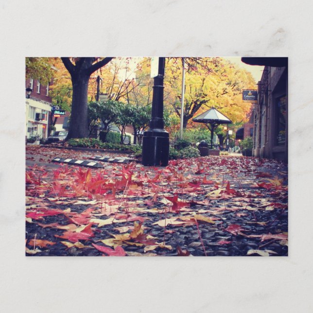 Fall Leaves Sidewalk View Postcard (Front)