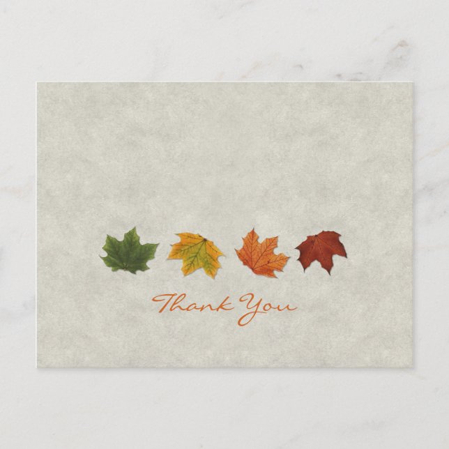 Fall Leaves Thank You postcard (Front)