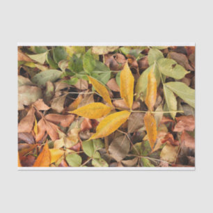 Fall Leaves Tissue Paper