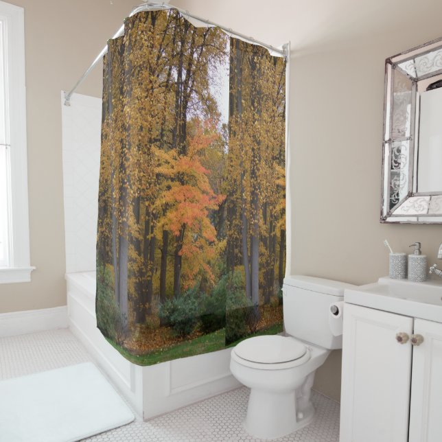 Fall Leaves Tulip Poplar Trees Shower Curtain (In Situ)