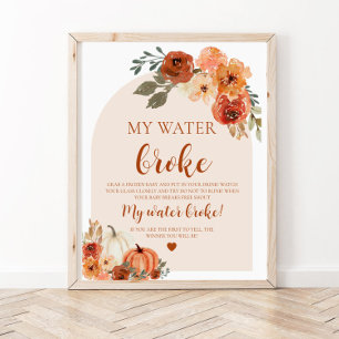 Fall Little Pumpkin My Water Broke Baby Shower Poster