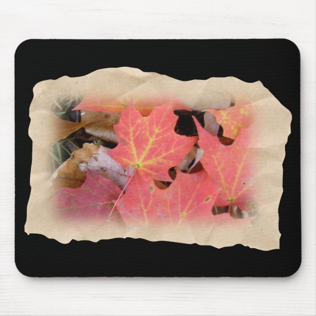 Fall Maple Leaves Coordinating Items Mouse Mat (Front)