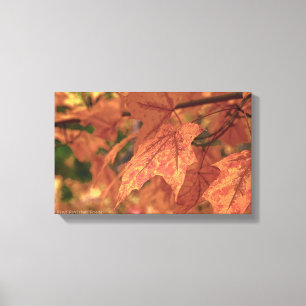 Fall Maple Leaves HDR Canvas Print